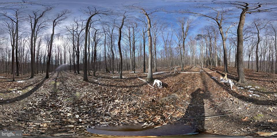 PARKHILL VIEWS - Land