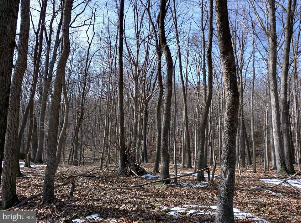 PARKHILL VIEWS - Land