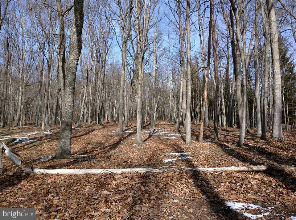 PARKHILL VIEWS - Land