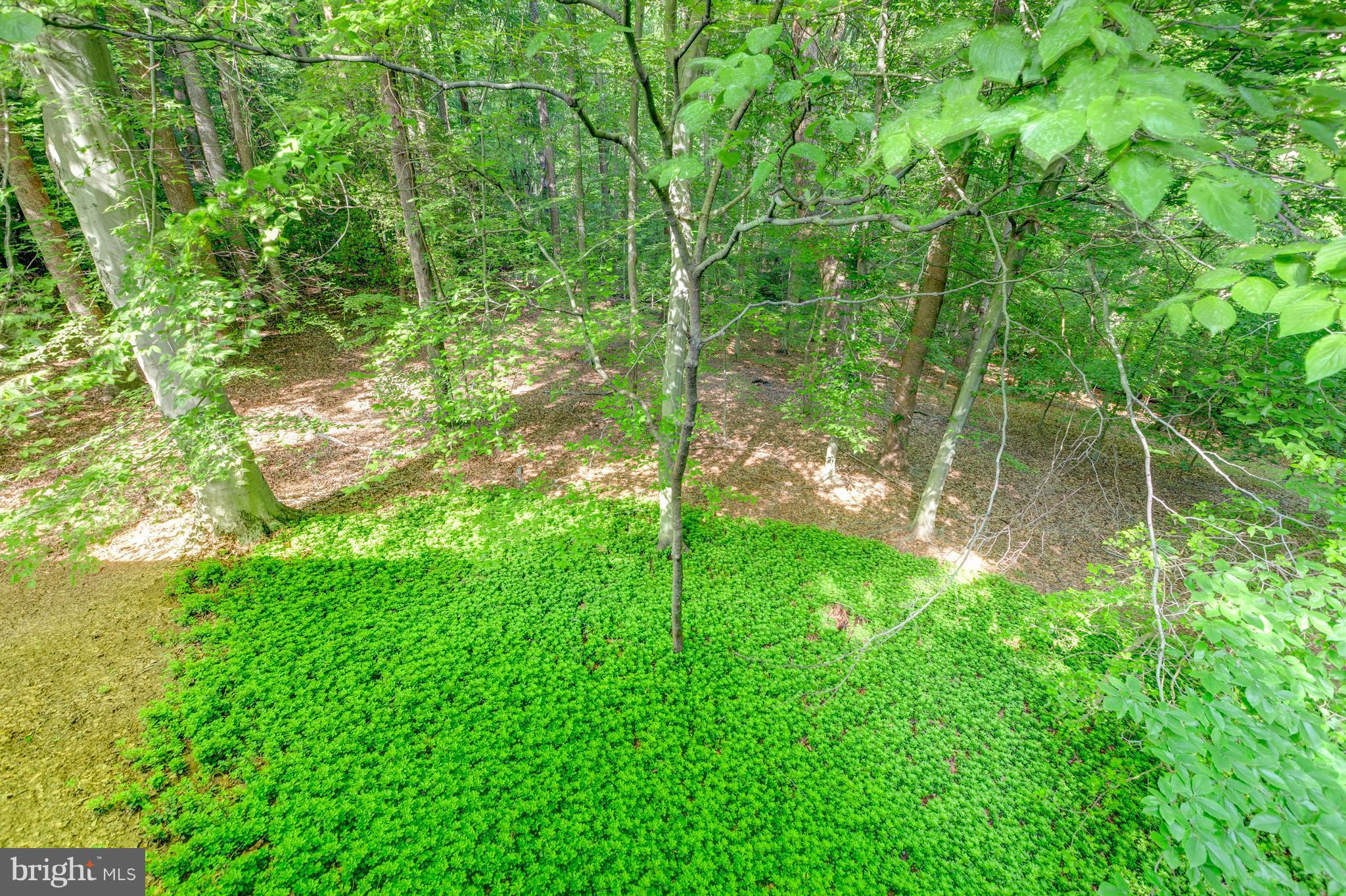 SOUTHDOWN - Residential