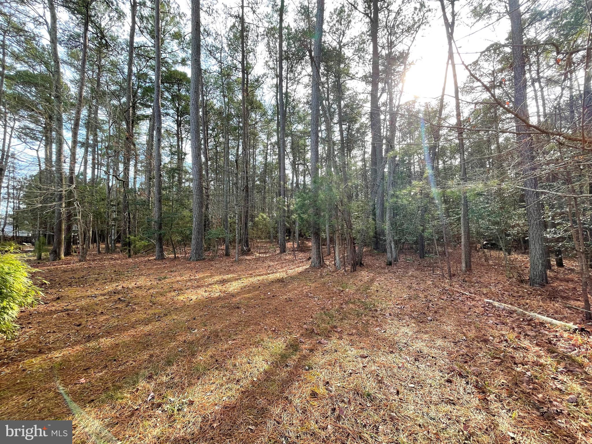 KEDGES STRAIT - Residential Lease