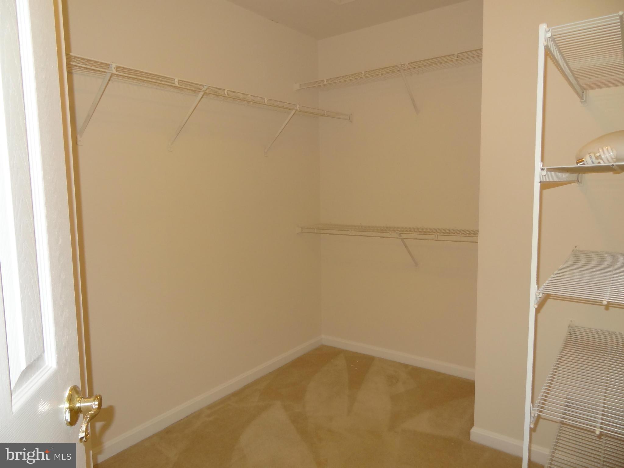 KINGSTOWNE - Residential Lease