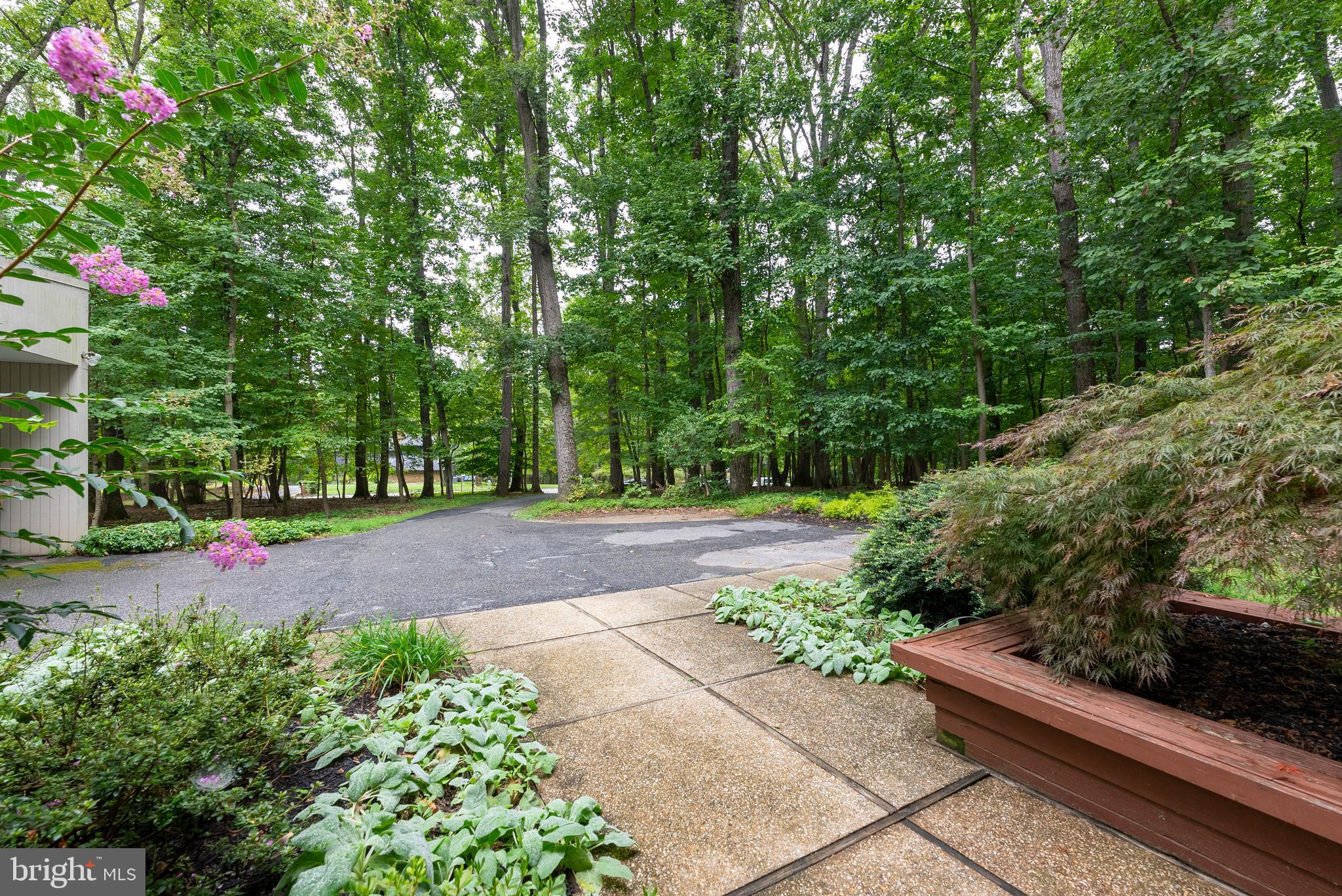 CAVES VALLEY - Residential