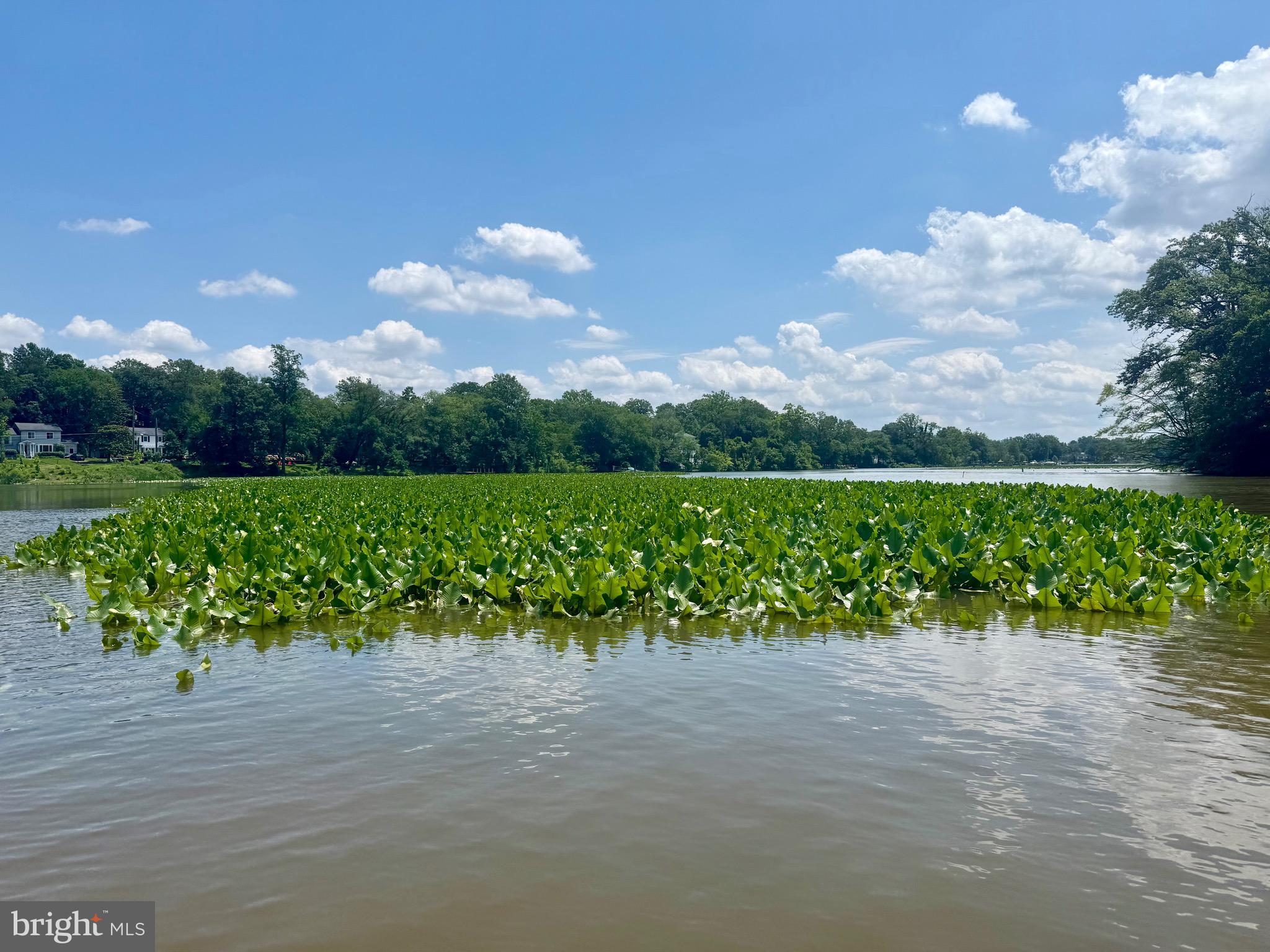 WESSYNTON - Residential