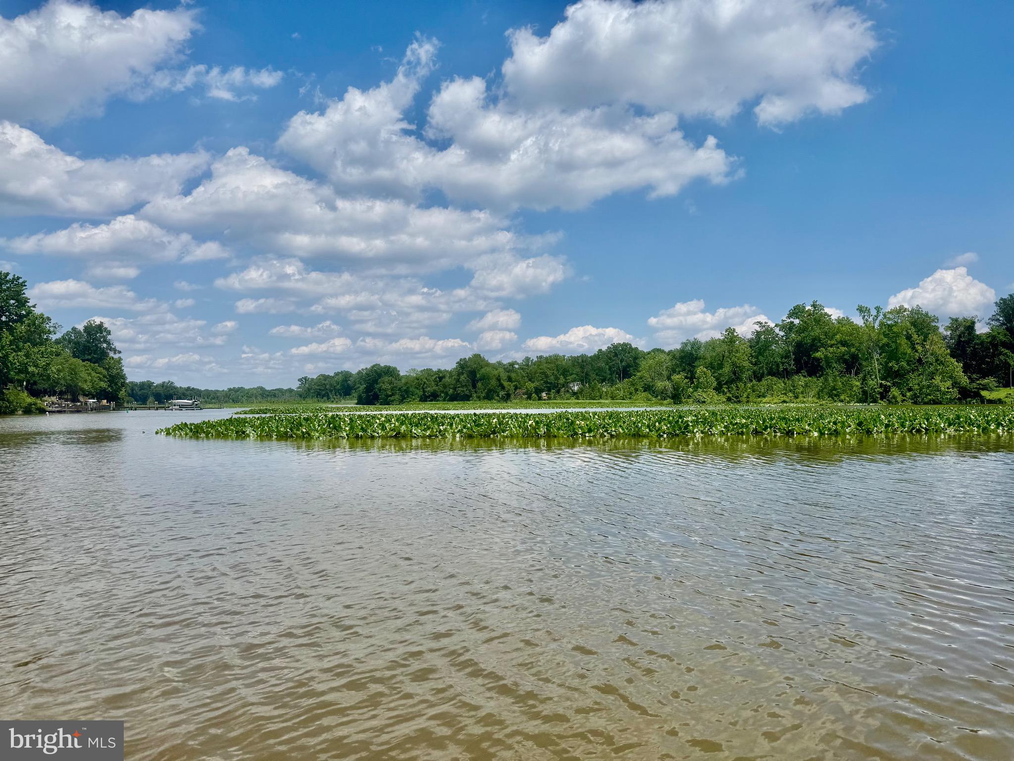 WESSYNTON - Residential