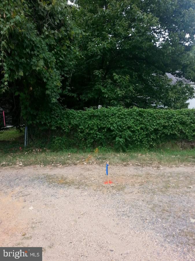 6313 OLD DOMINION DRIVE