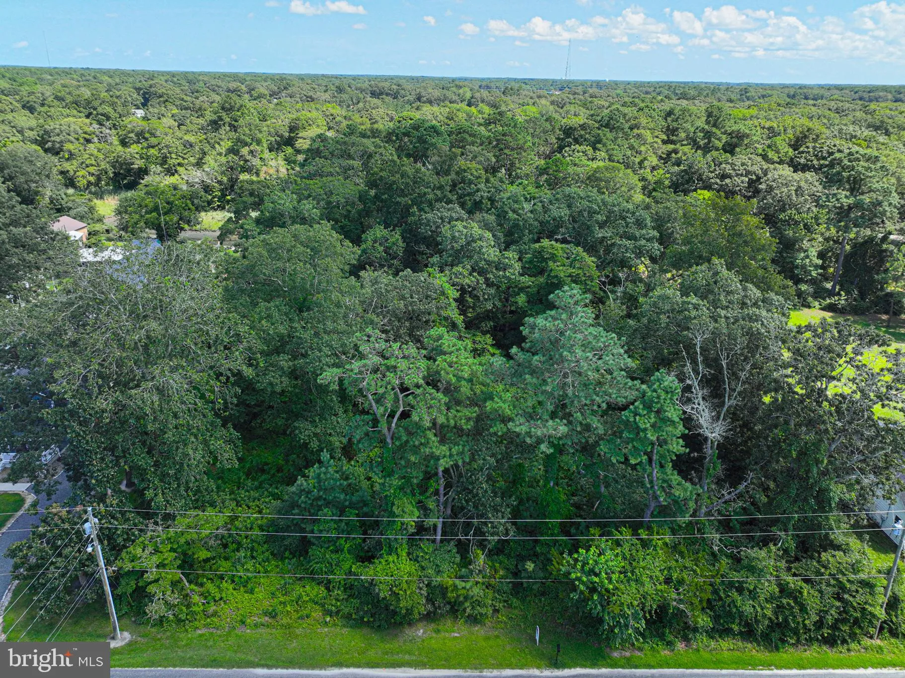 Millsboro, Delaware 19966, United States, ,Land,Active,176312