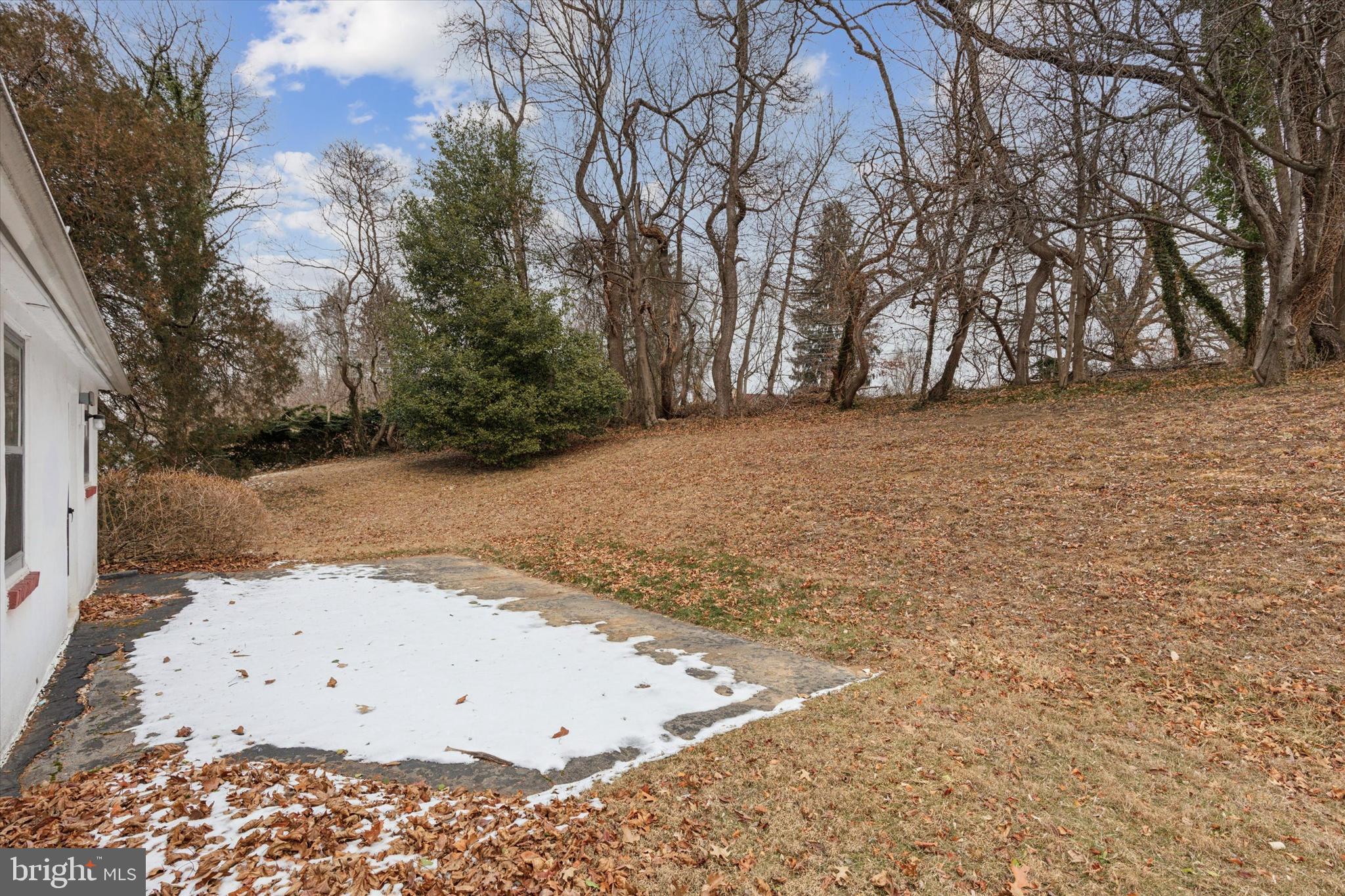 DEVON DOWNS - Residential Lease