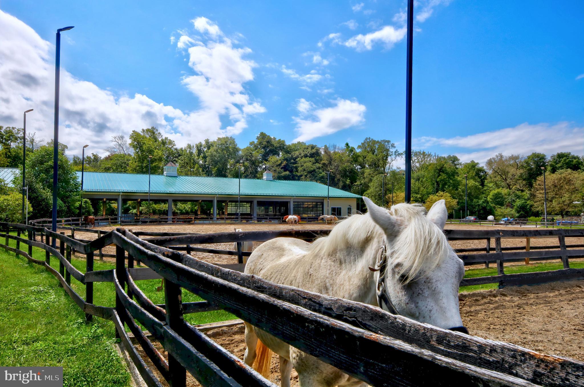 MARTINS ADDITION - Residential