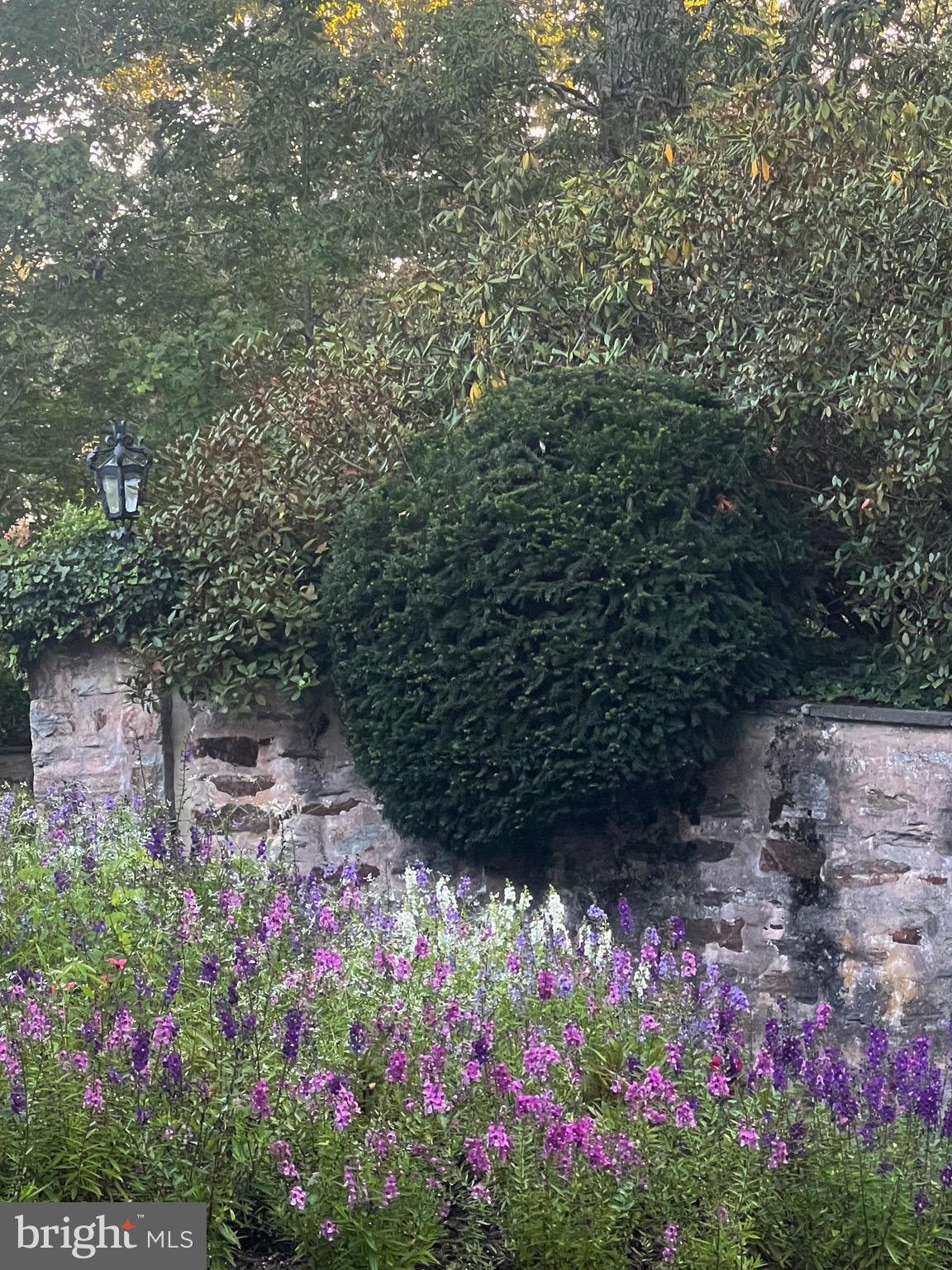 WORTHINGTON VALLEY - Farm