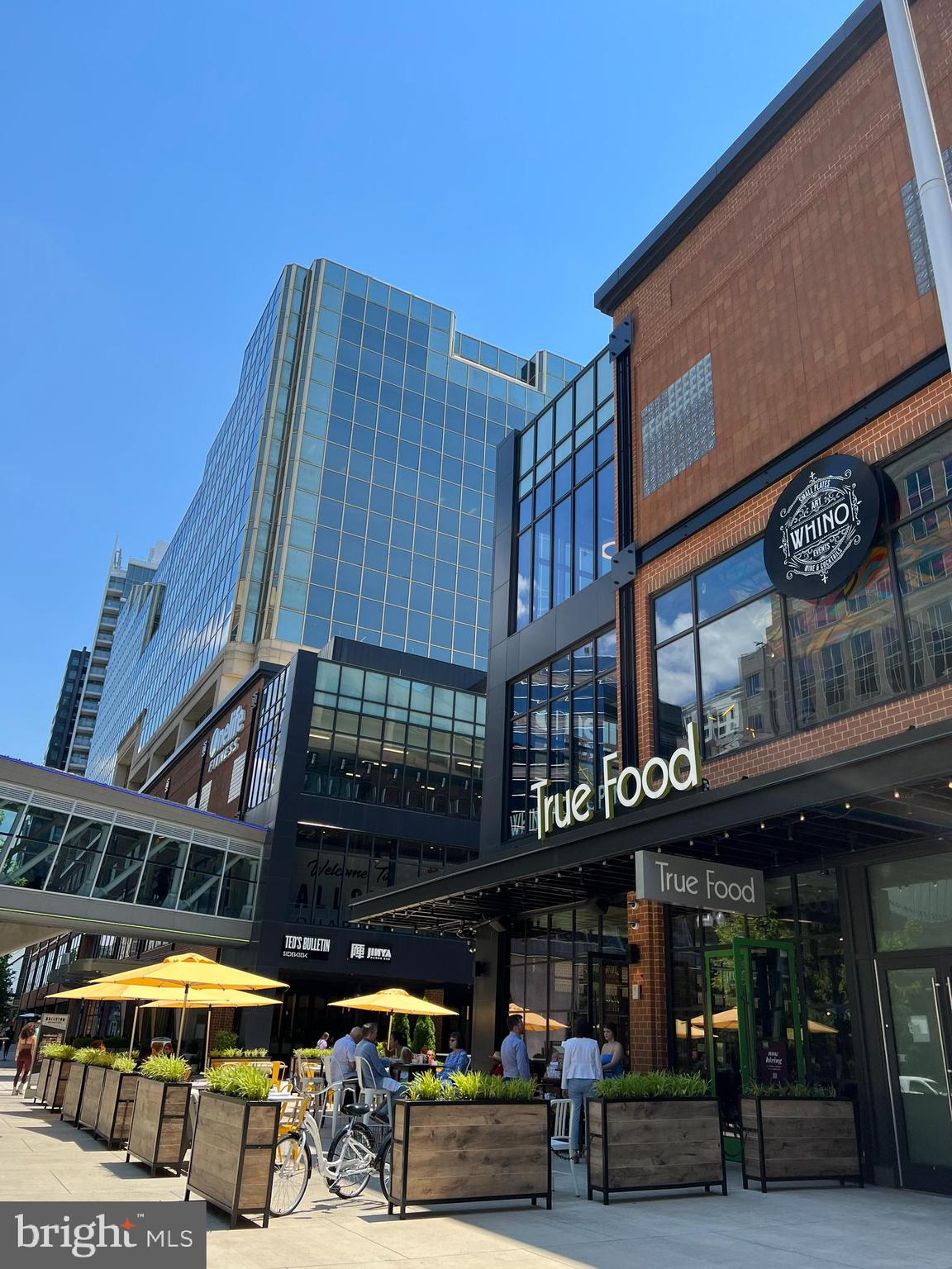 LACEY FOREST - Residential