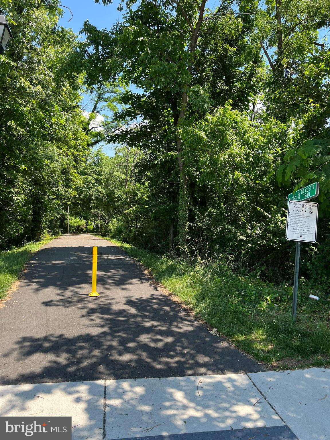 LACEY FOREST - Residential