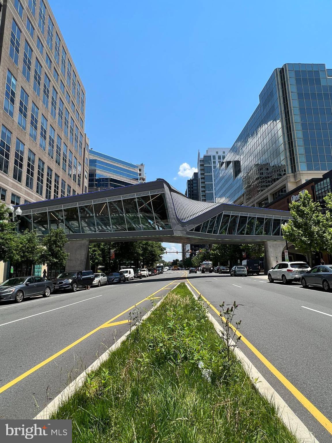 LACEY FOREST - Residential