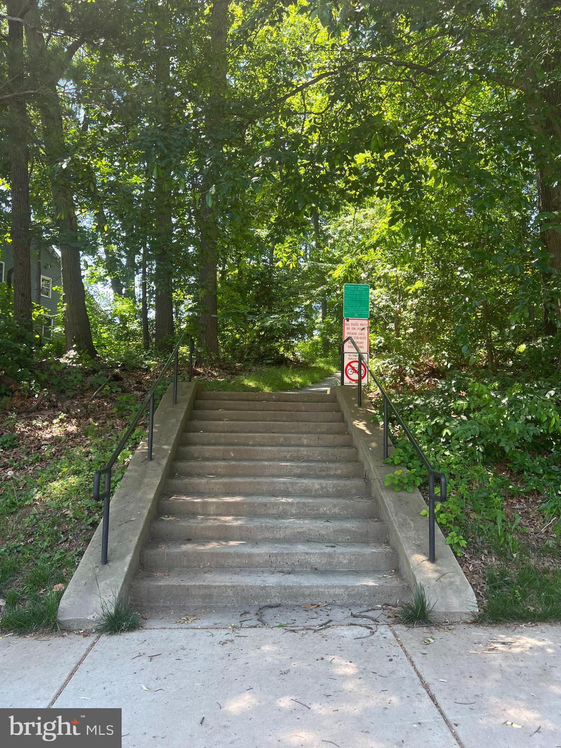 LACEY FOREST - Residential