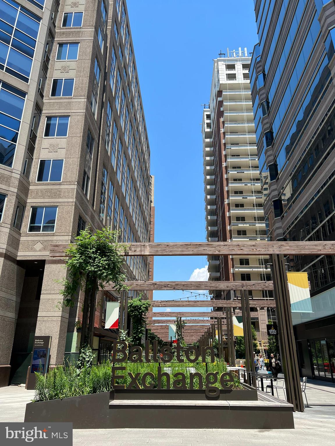 LACEY FOREST - Residential