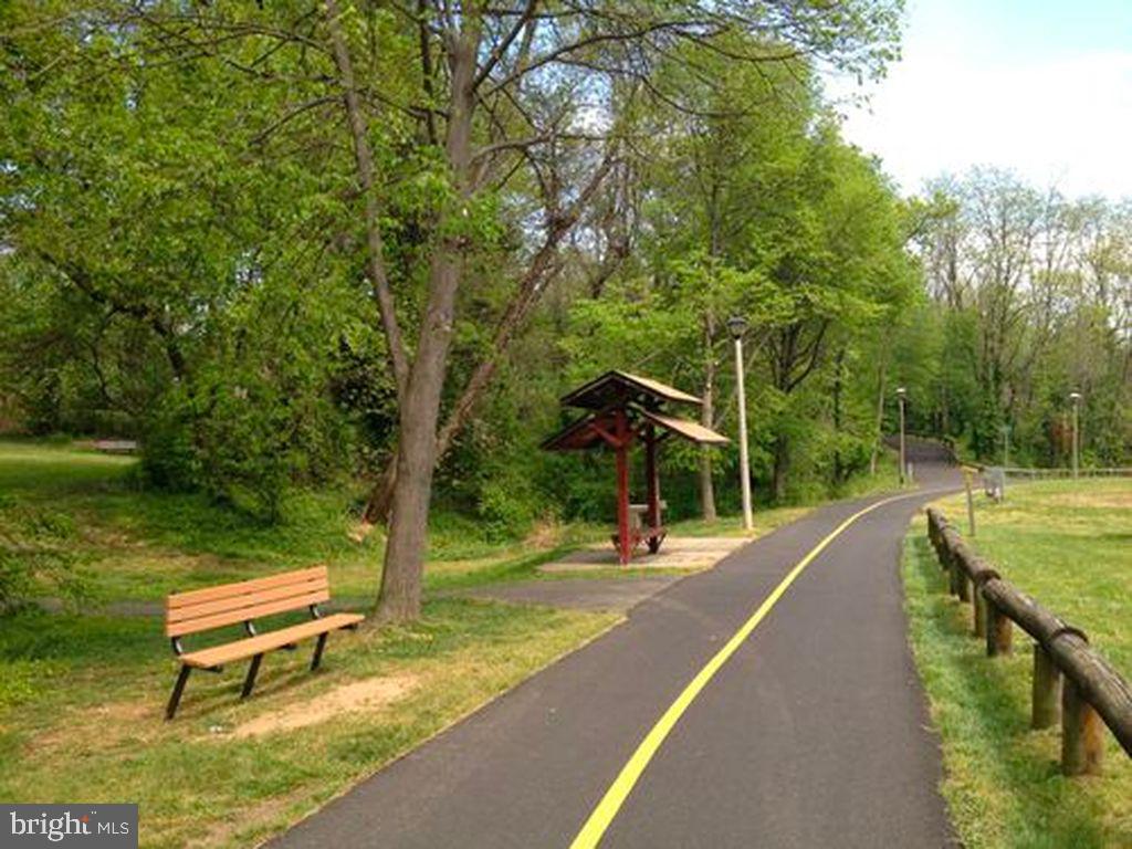 LACEY FOREST - Residential