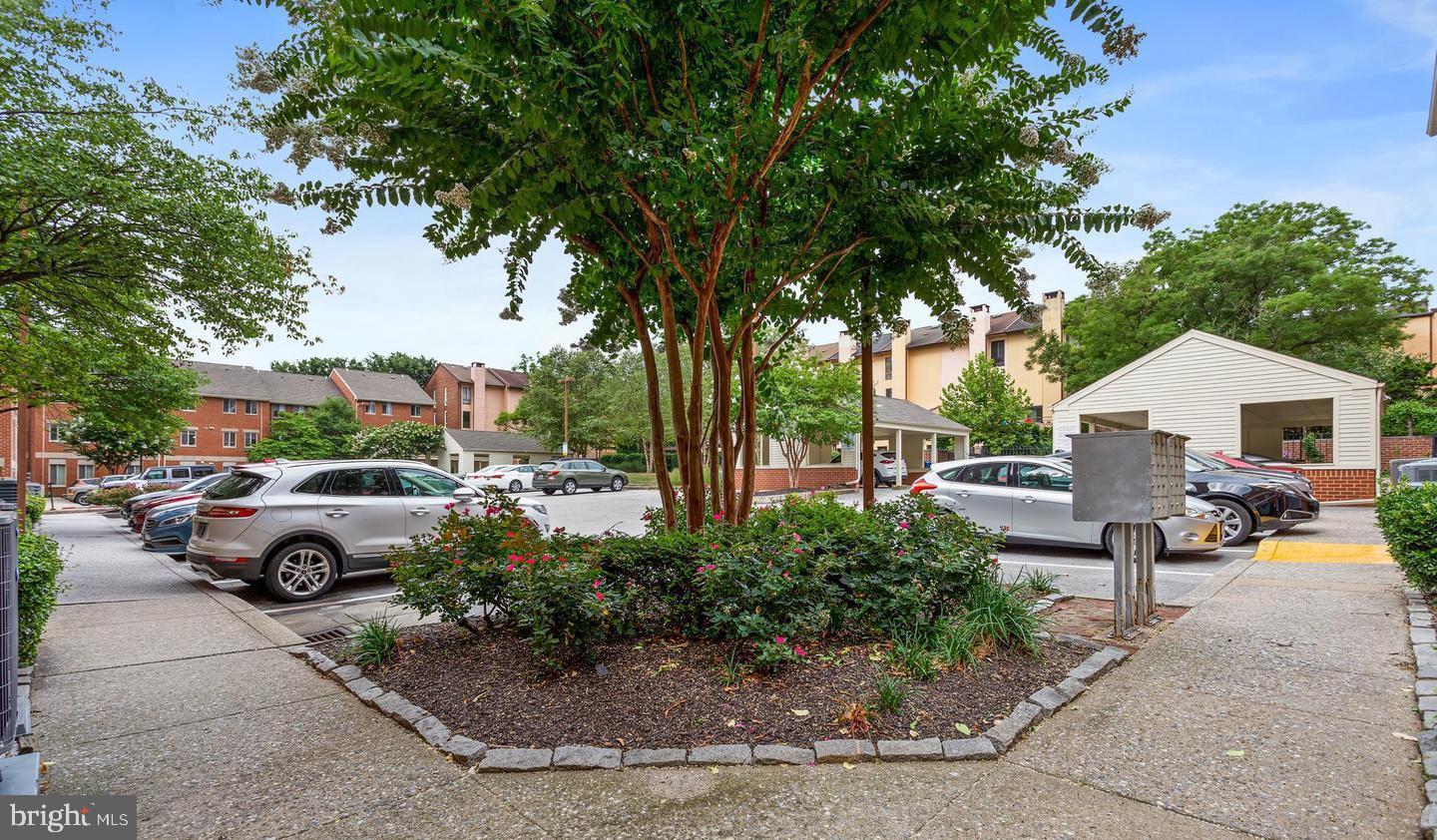 OTTERBEIN - Residential Lease