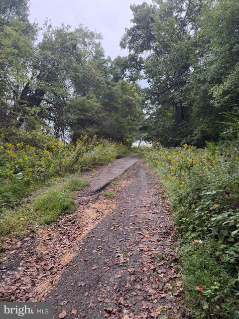 Vacant Land For Sale - 23145 Longview Boulevard<br/> Saint Marys County, BUSHWOOD, MD 20618