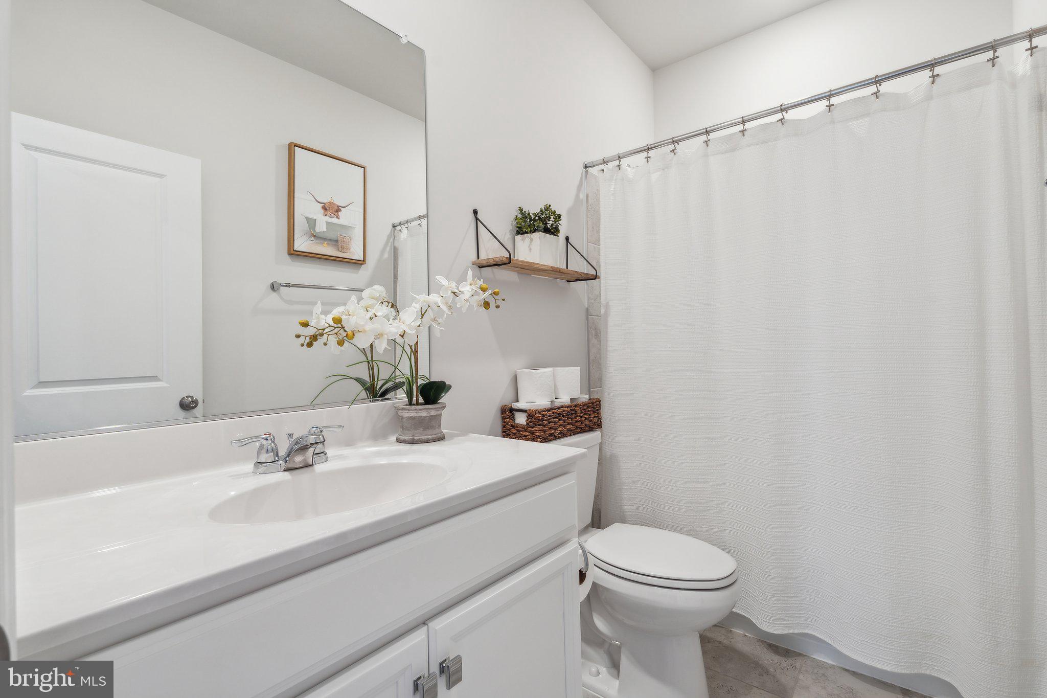 NORBORNE GLEBE - Residential