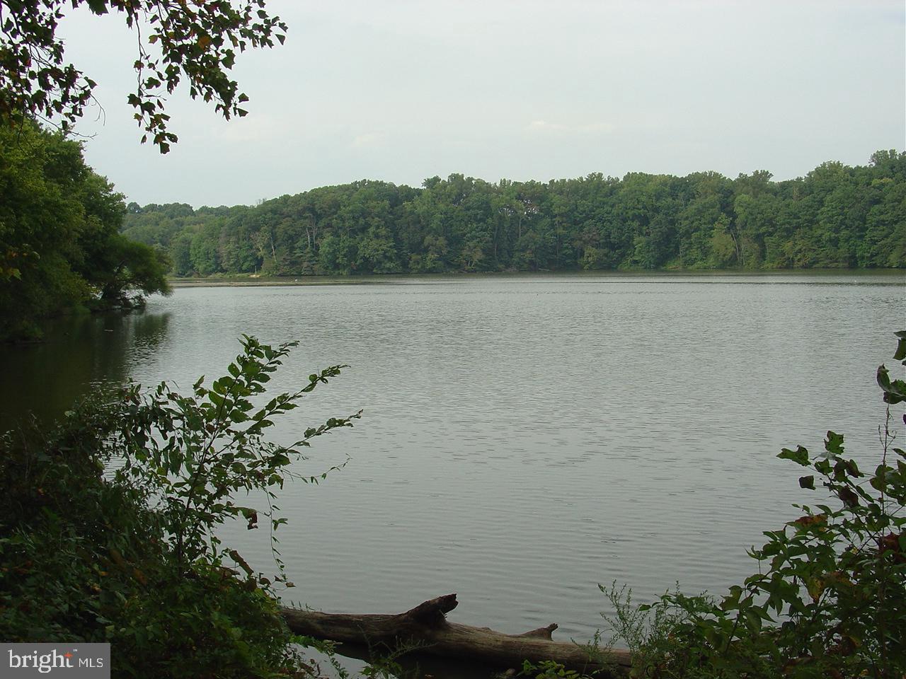 CARDINAL FOREST - Residential Lease