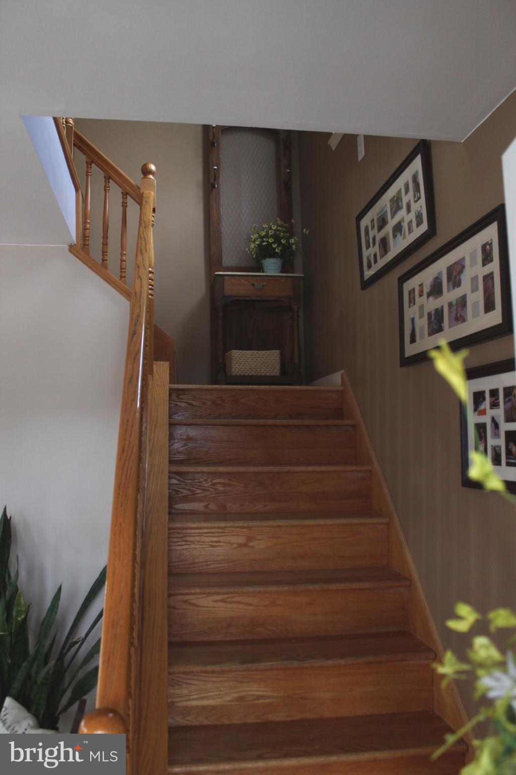 ARBUTUS HEIGHTS - Residential