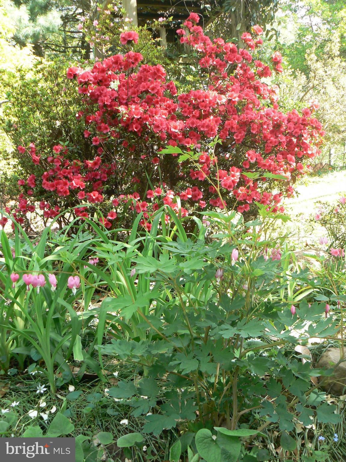 WOODLAND PARK - Residential