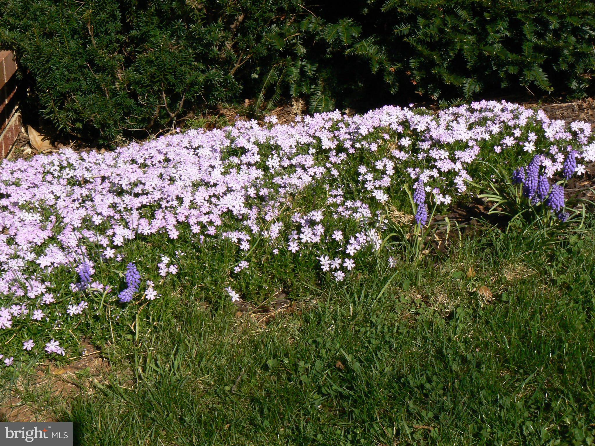 WOODLAND PARK - Residential
