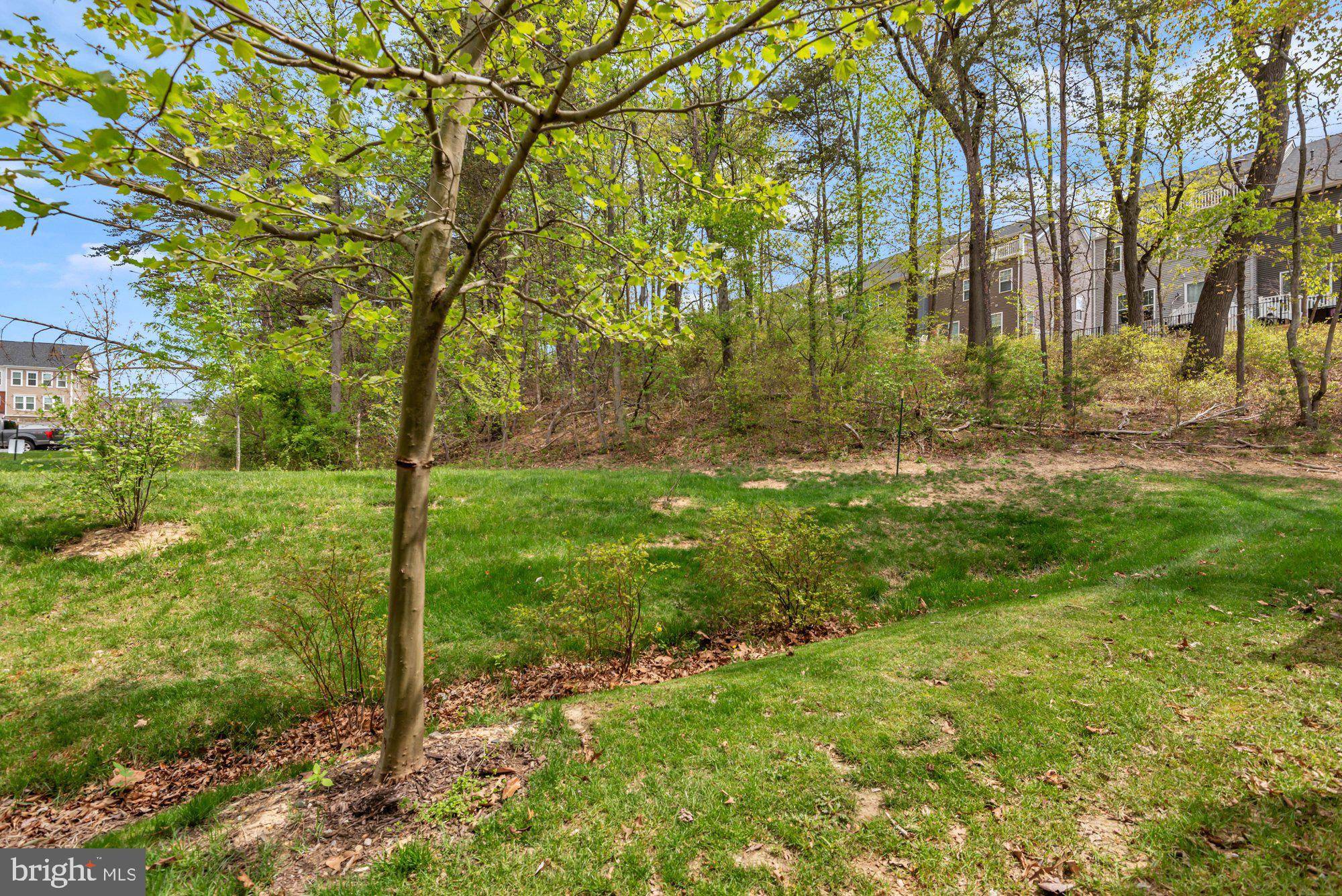 SHIPLEY HOMESTEAD - Residential