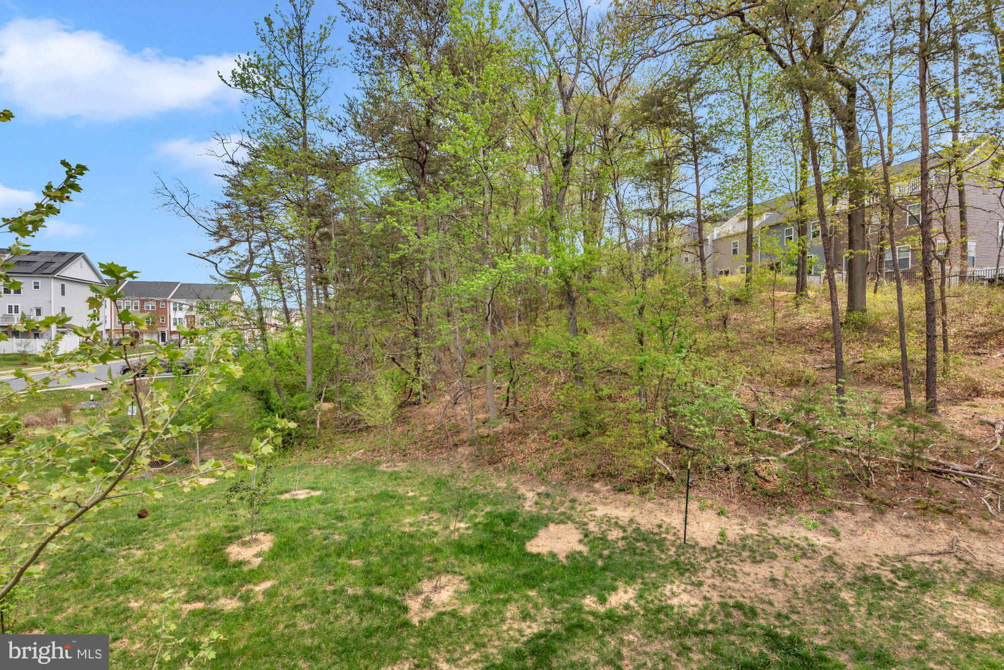 SHIPLEY HOMESTEAD - Residential