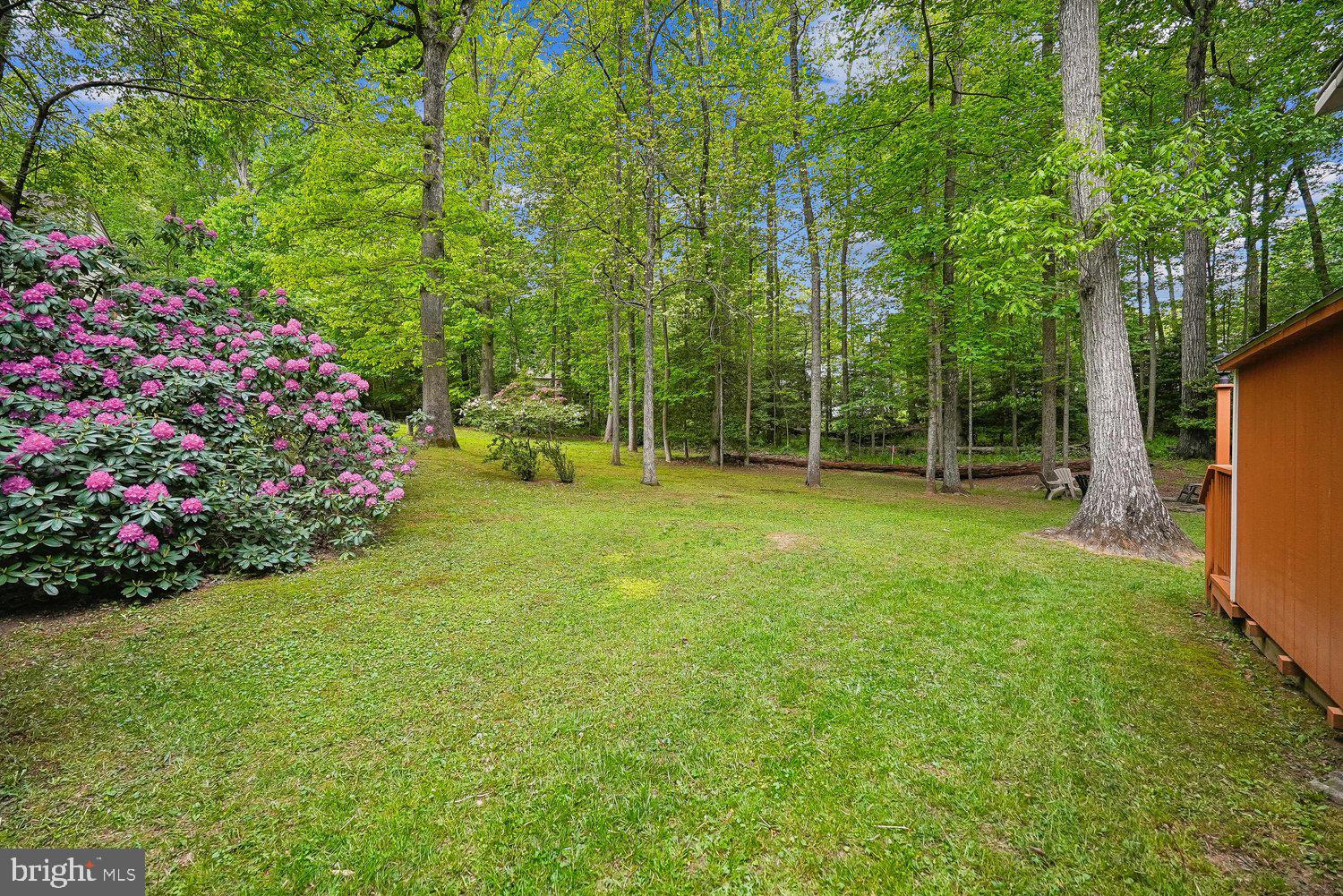 11732 STUART MILL ROAD