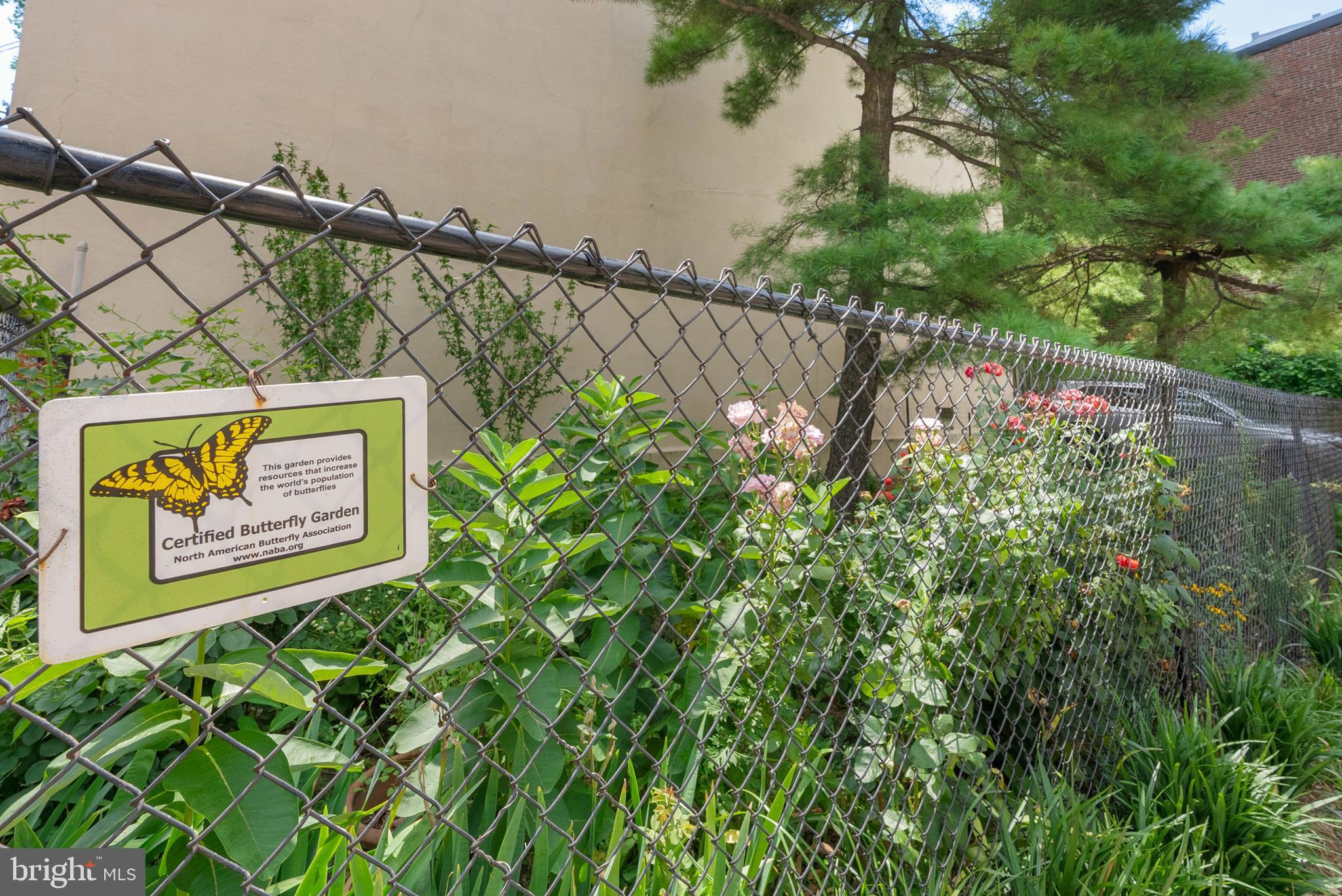 ART MUSEUM AREA - Residential