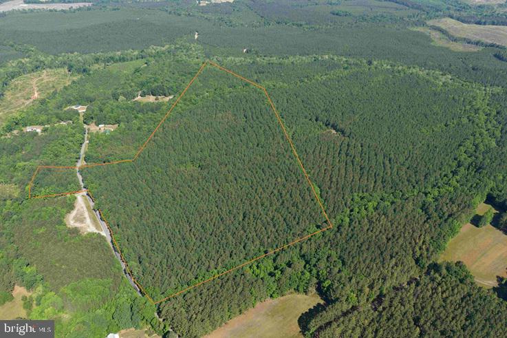 BRANDY CREEK ROAD (TRACT: THE FAMILY TREE)