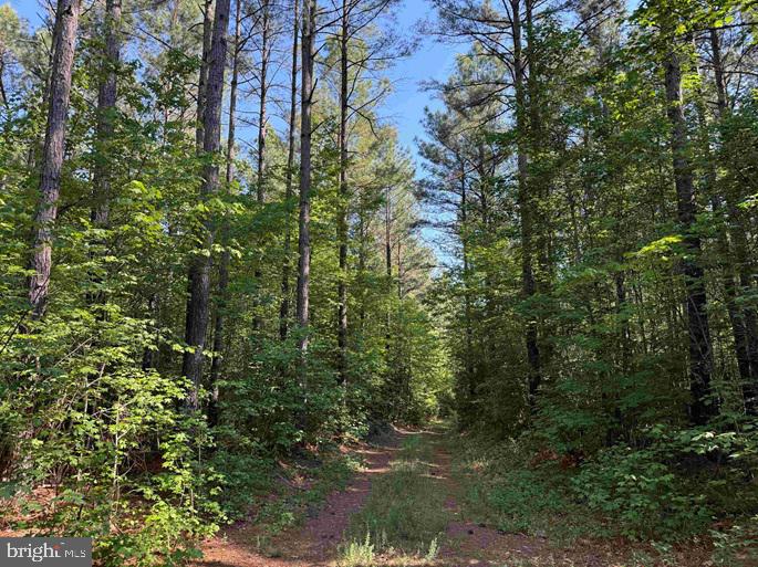 BRANDY CREEK ROAD (TRACT: THE FAMILY TREE)