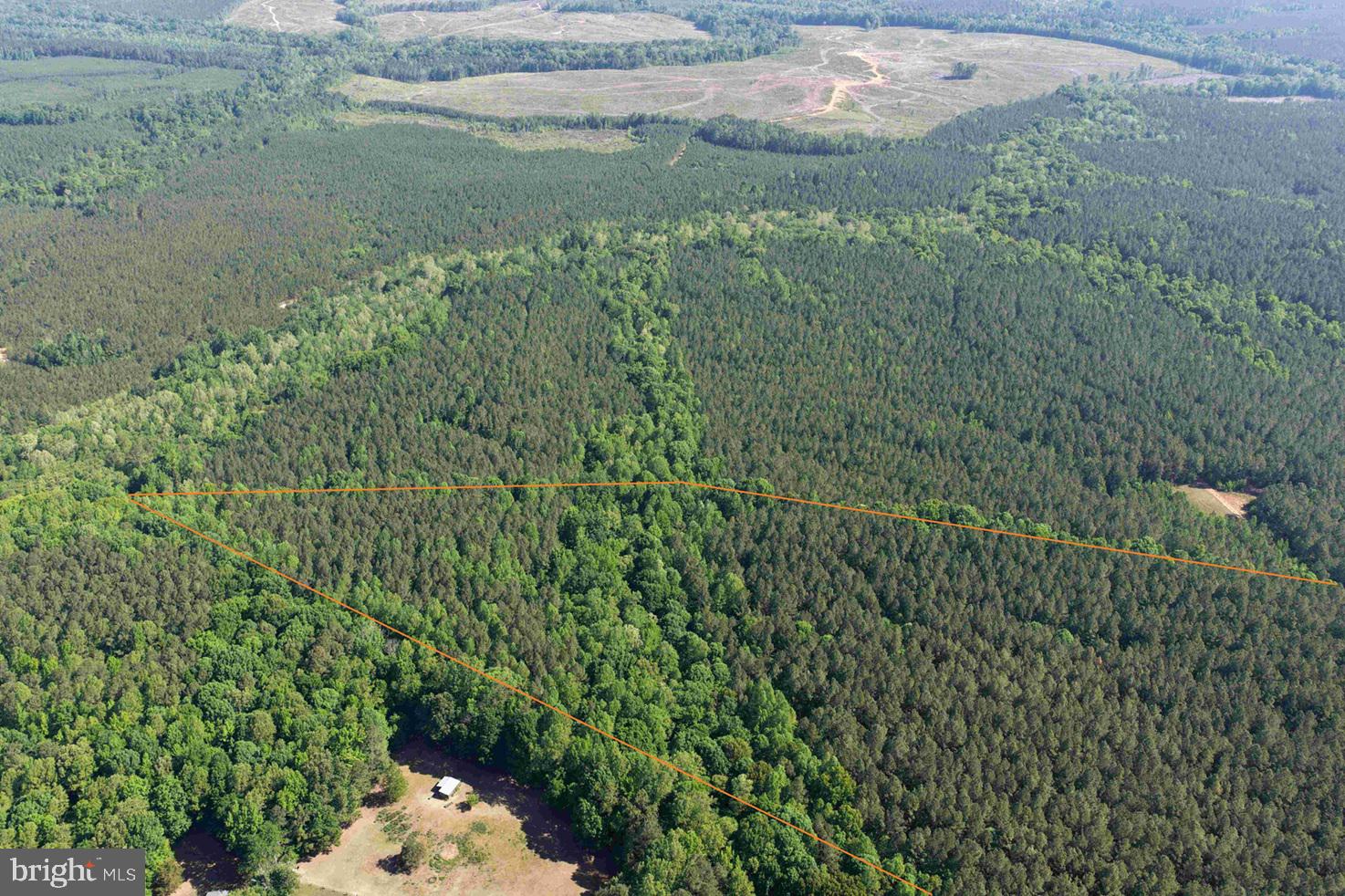 BRANDY CREEK ROAD (TRACT: THE FAMILY TREE)