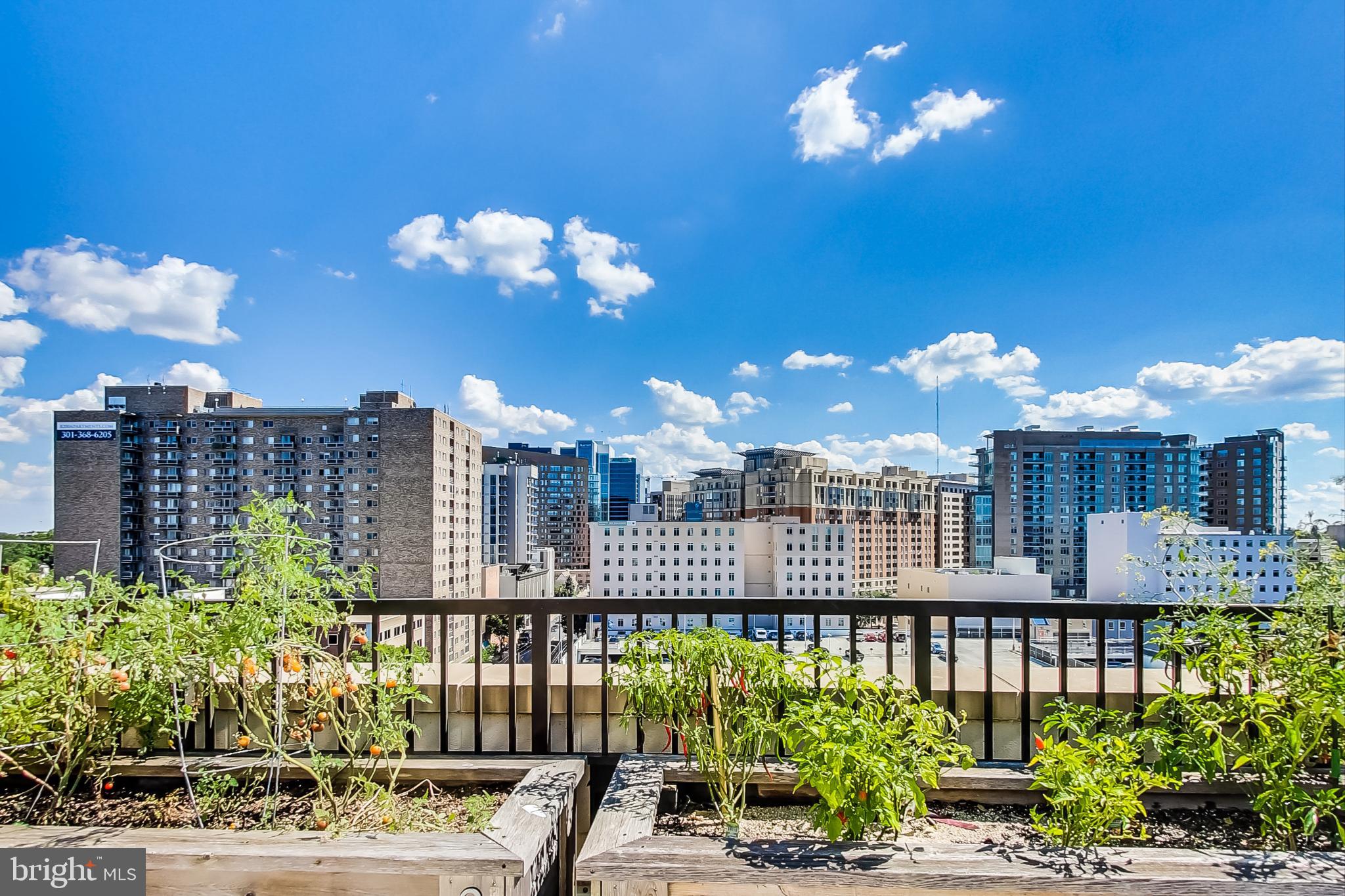 STONEHALL - Residential