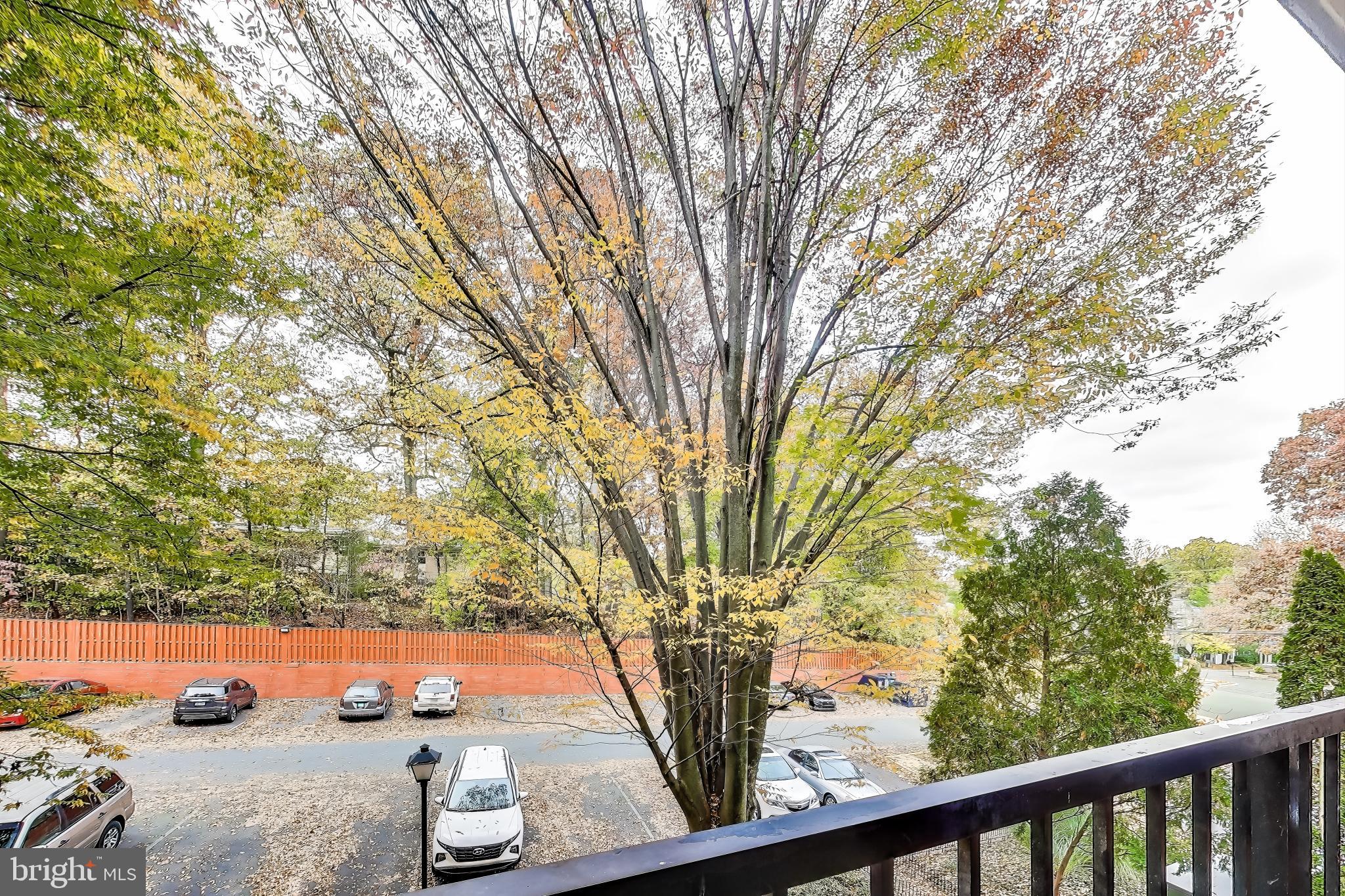 IVYMOUNT COURT - Residential