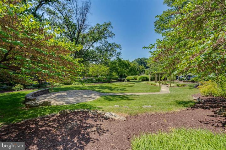 TAKOMA PARK - Residential