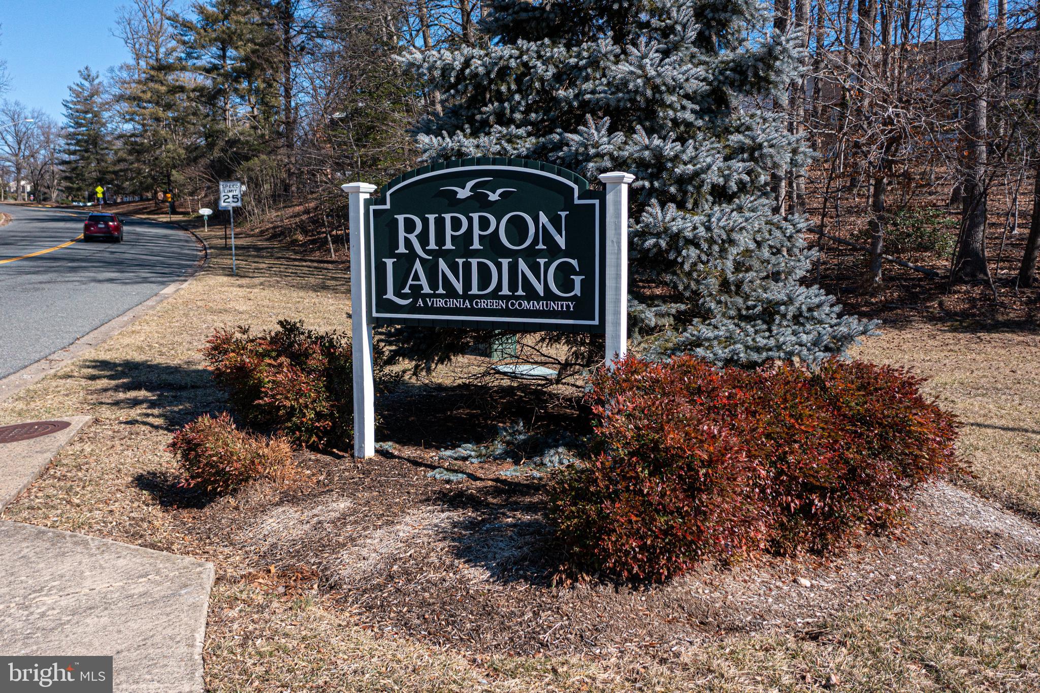 RIPPON LANDING - Residential