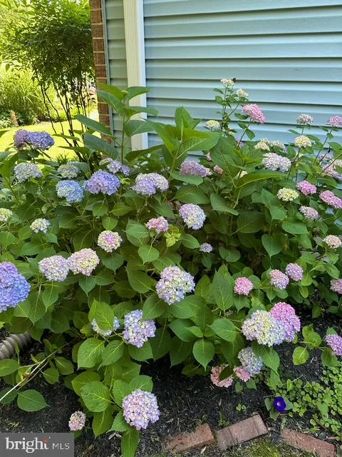 Columbia, Maryland 21046, United States, 5 Bedrooms Bedrooms, ,4 BathroomsBathrooms,Residential,Pending,11247