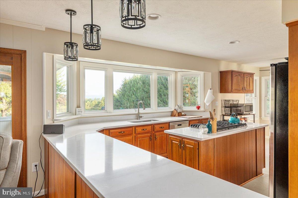 154 SKYLINE FOREST DRIVE