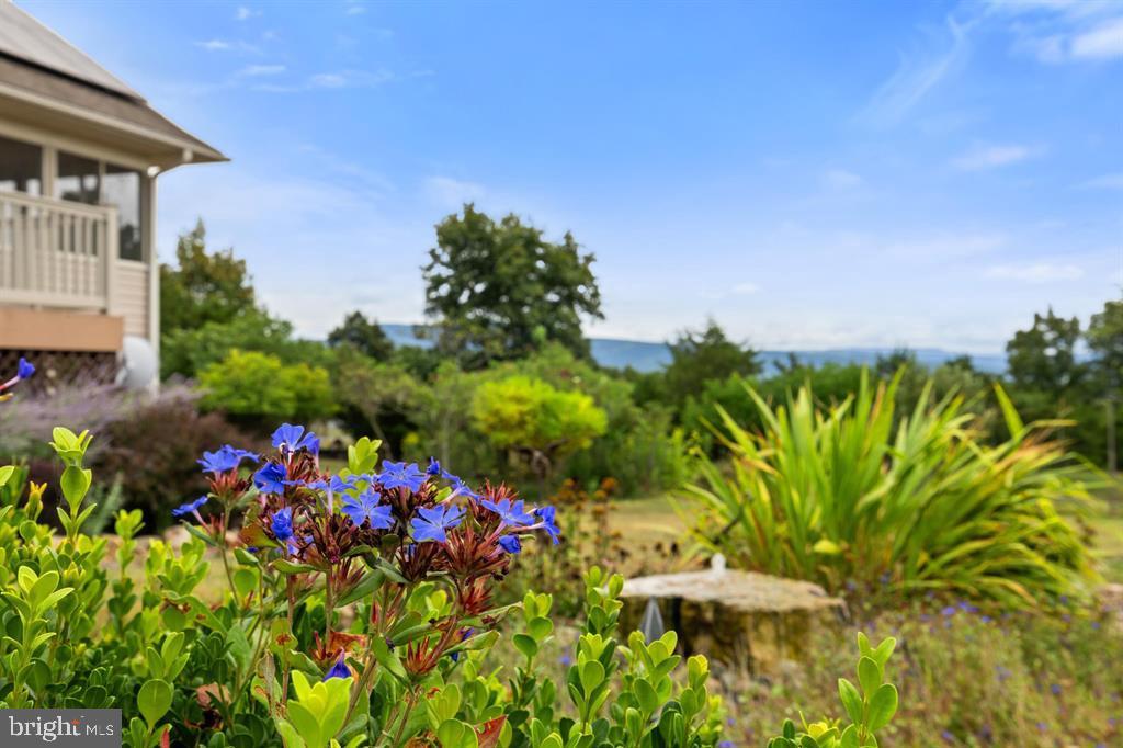 QUANTICO - Residential