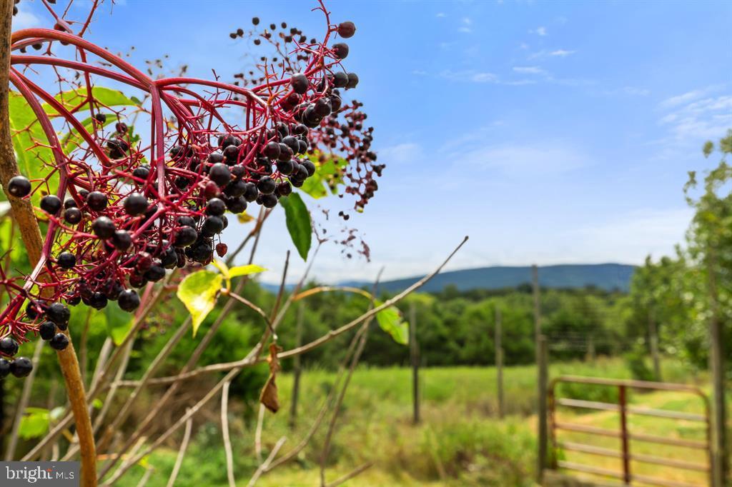 QUANTICO - Residential