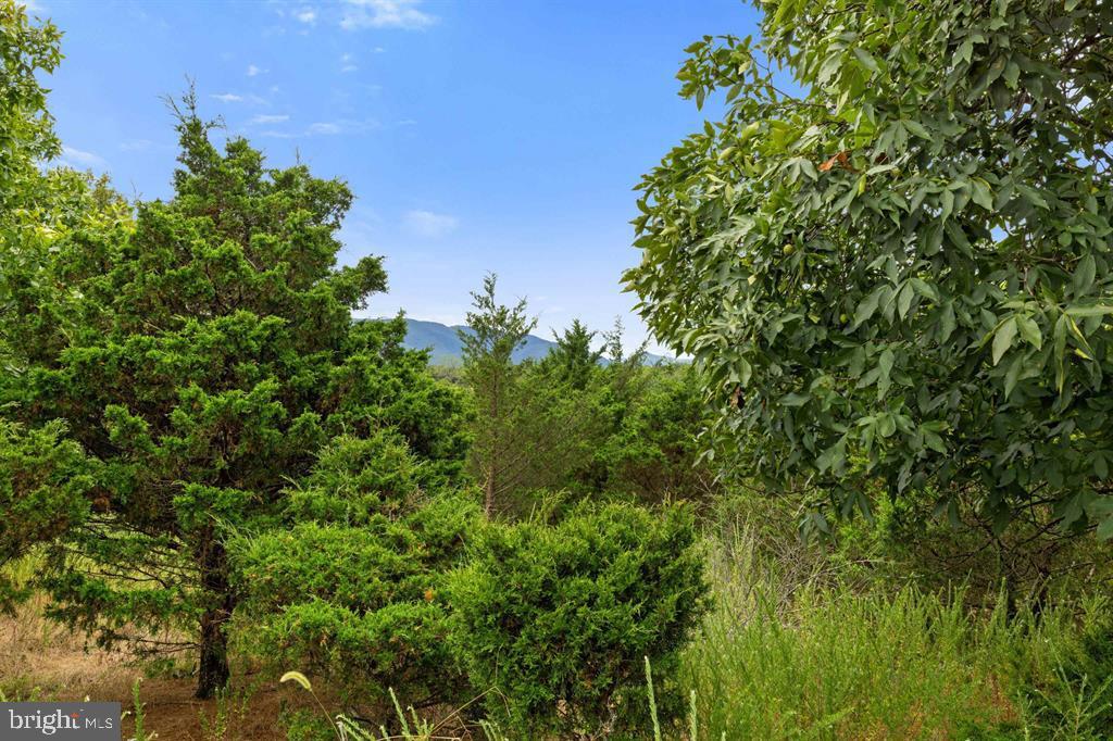 QUANTICO - Residential