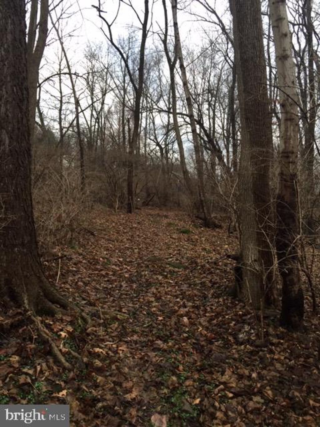 Photo of 189 RIDGE AVE, EPHRATA, PA 17522 (MLS # PALA2029930)