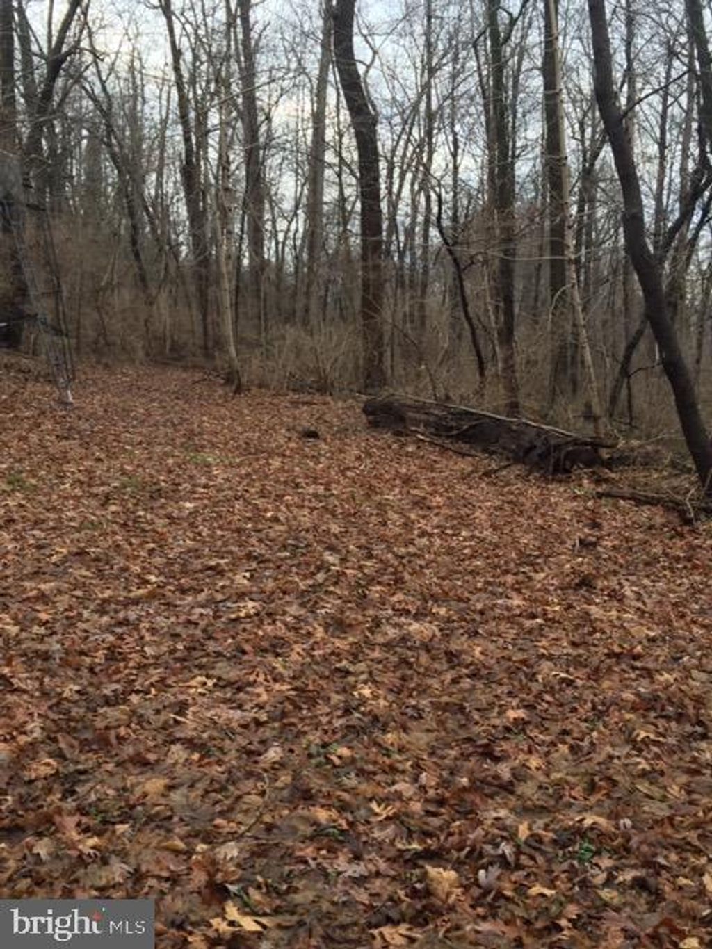 Photo of 189 RIDGE AVE, EPHRATA, PA 17522 (MLS # PALA2029930)