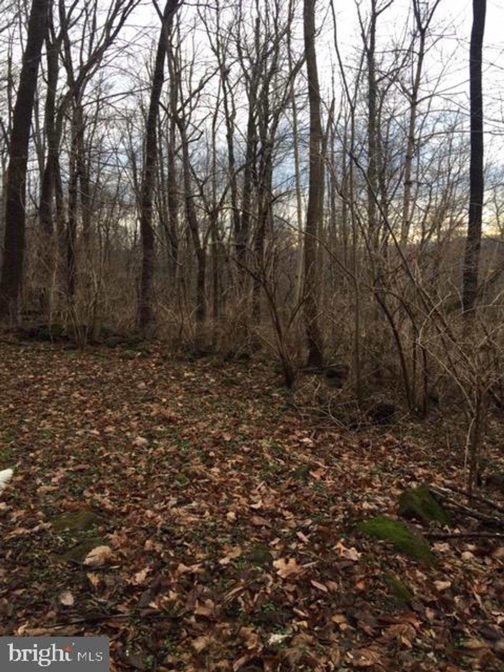 Photo of 189 RIDGE AVE, EPHRATA, PA 17522 (MLS # PALA2029930)