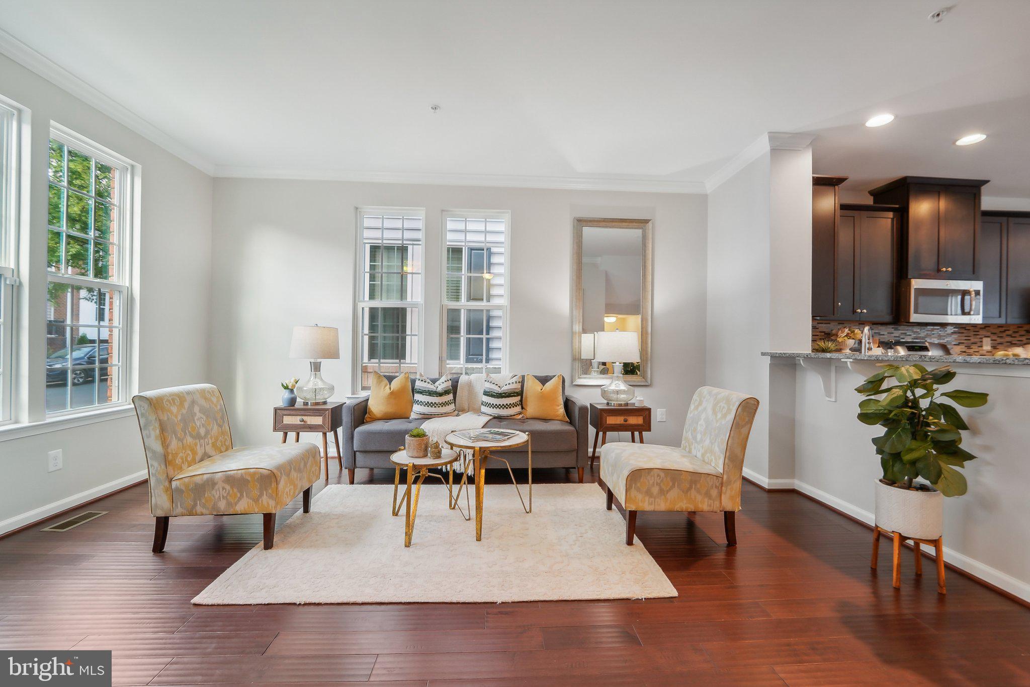 CLARKSBURG VILLAGE - Residential