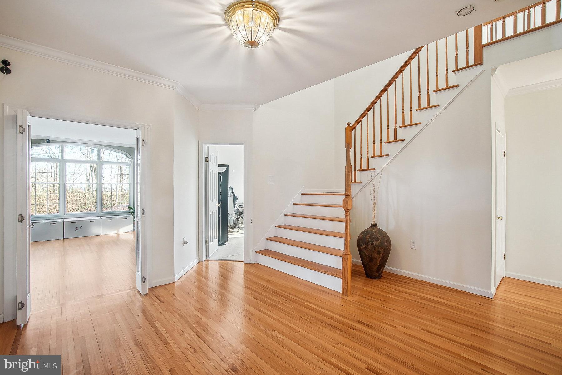 26 SPIKED RUSH COURT