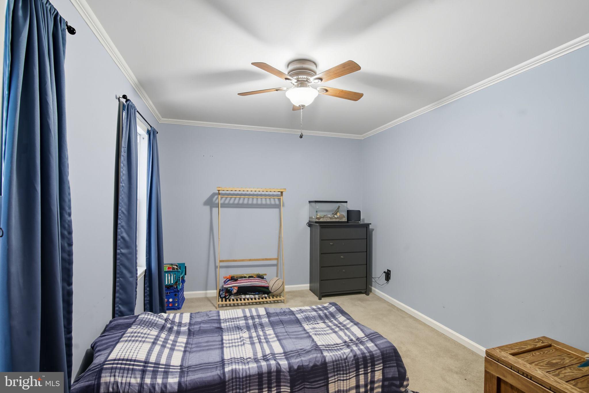 BLACK WALNUT RUN ESTATES - Residential