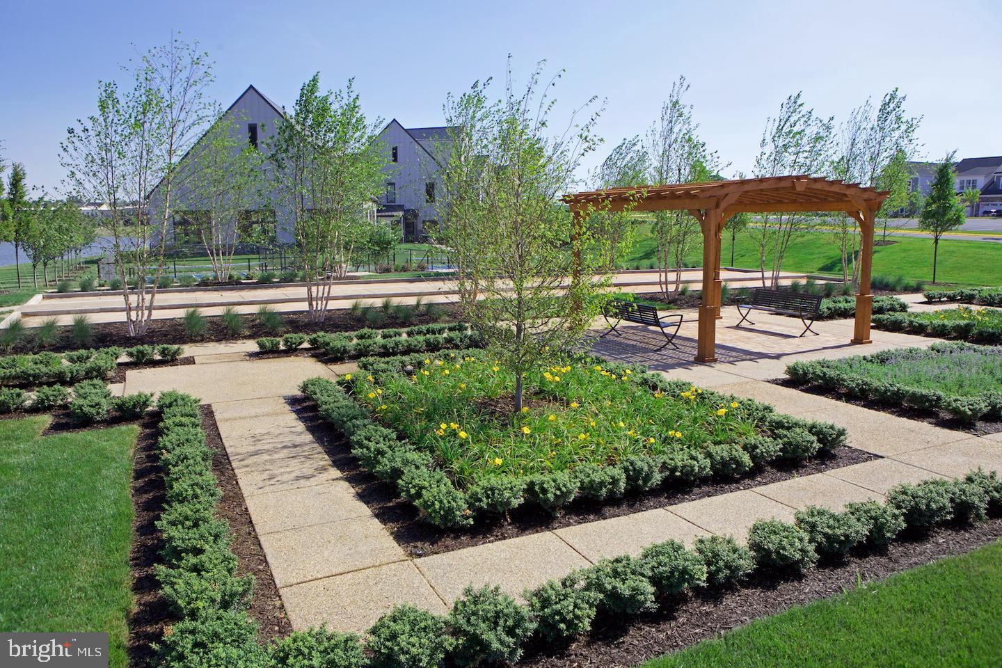 BIRCHWOOD AT BRAMBLETON - Residential